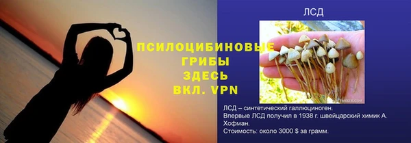 PSILOCYBIN Богородицк